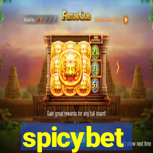 spicybet-4.com