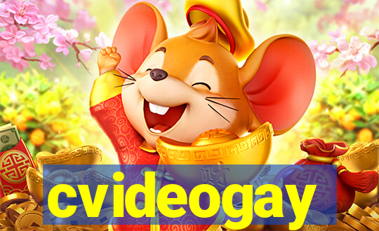 cvideogay