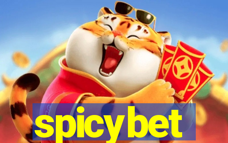 spicybet-3.com